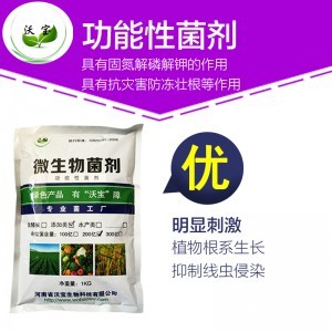 生物肥料與生物制劑 現代農業的綠色引擎