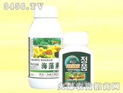 山東諾邦生物安丘有機肥料廠產品代理商張輝拓展安徽市場，共推生物肥料新篇章