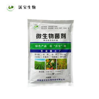 解淀粉芽孢桿菌 多功能生物肥料，賦能綠色農業