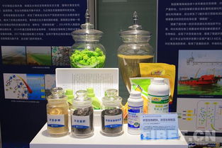 海洋試點(diǎn)國家實(shí)驗(yàn)室 問海十八載，為強(qiáng)國戰(zhàn)略注入海洋科研不竭動(dòng)力