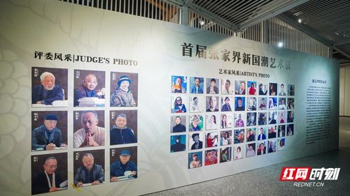 影像丨首屆張家界新國潮藝術展開展 137件入圍作品展出